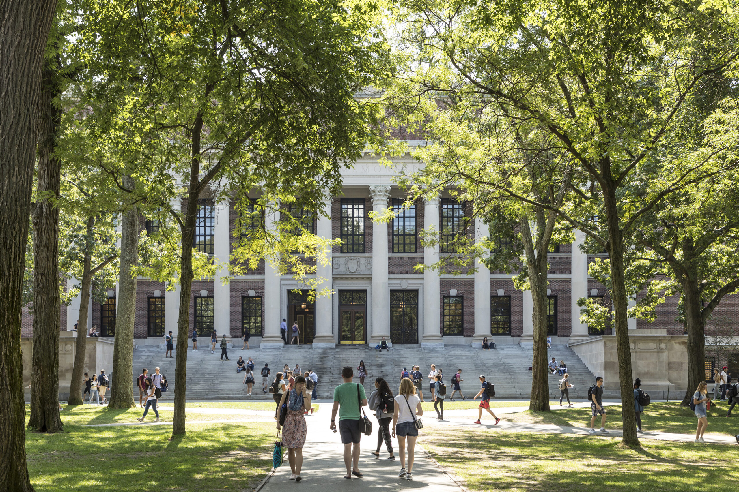 An image from the campus of Harvard University, depicting students and families walking around.
